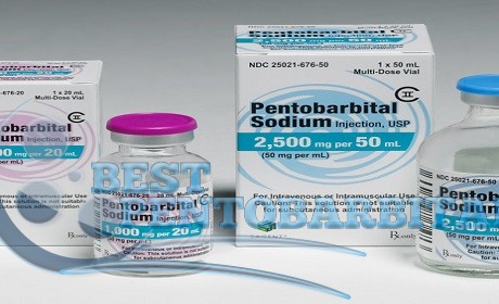 Pentobarbital vs Phenobarbital